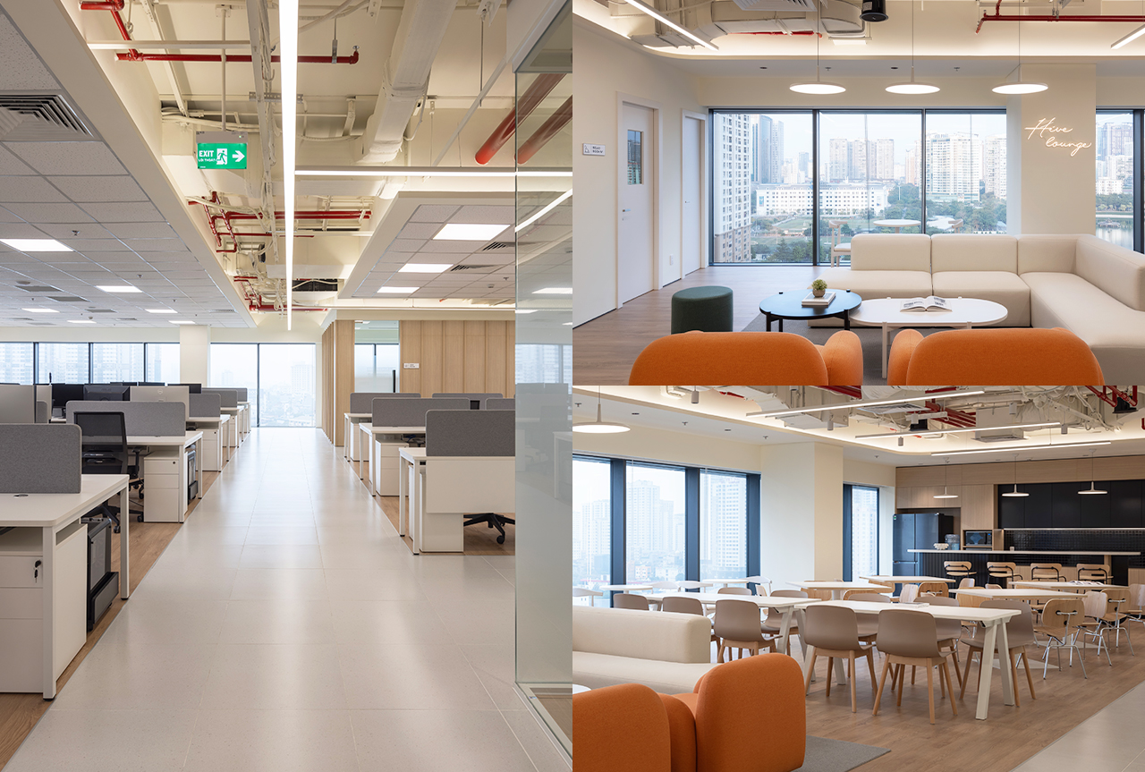 Hivelab offers offshoring service.